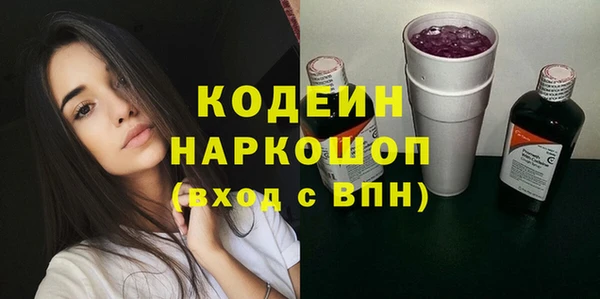 индика Алексин