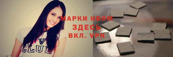 индика Алексин
