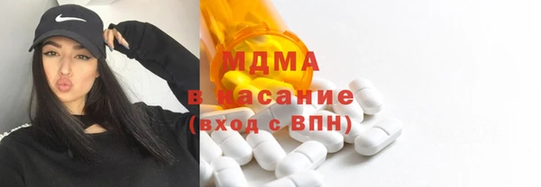 индика Алексин