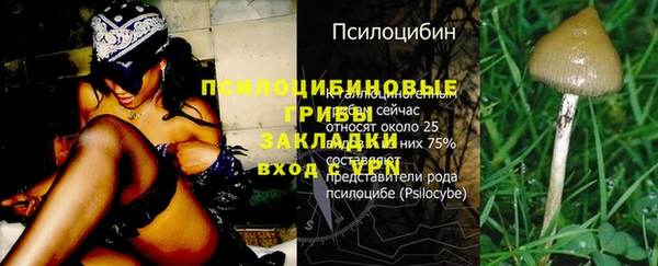 индика Алексин