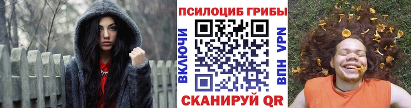 Купить закладки Мариинск Псилоцибиновые грибы мухоморы